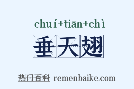 垂天翅是什么意思的图片
